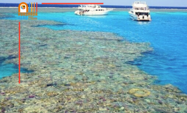 Coral Garden Marsa ALam (from 20$)