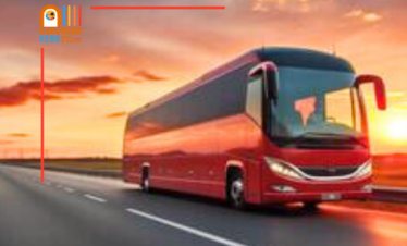 Transfer by Bus (20$)