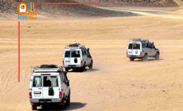 Family Safari 5-Hours